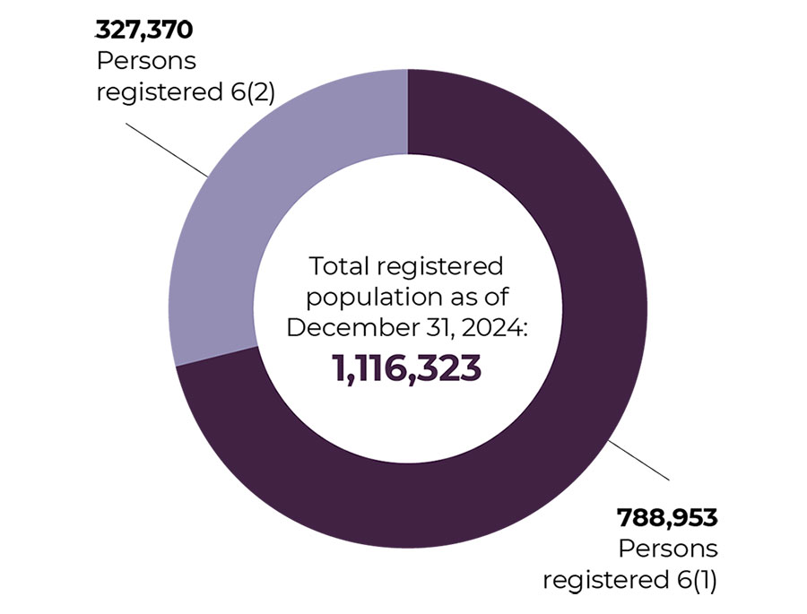 Registered persons by 6(1) and 6(2) category codes