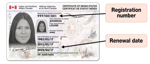 Older versions of the status card - Front