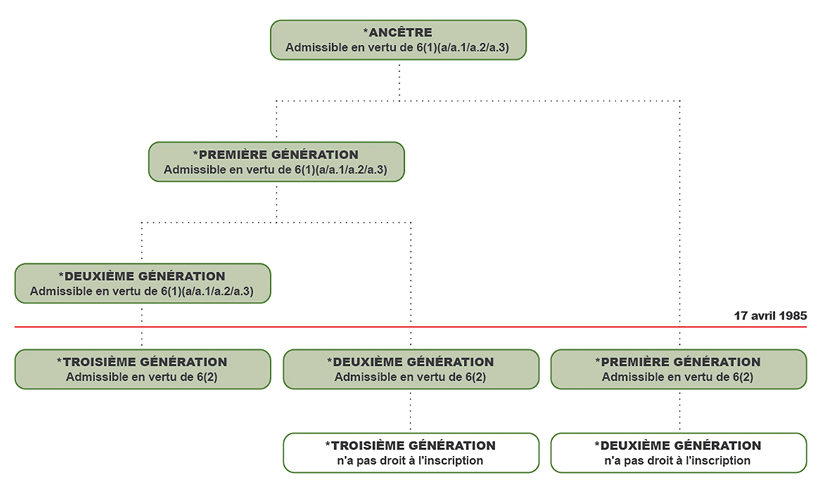 image montrant un schéma familial hypothétique